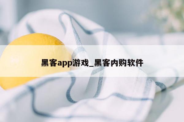 黑客app游戏_黑客内购软件