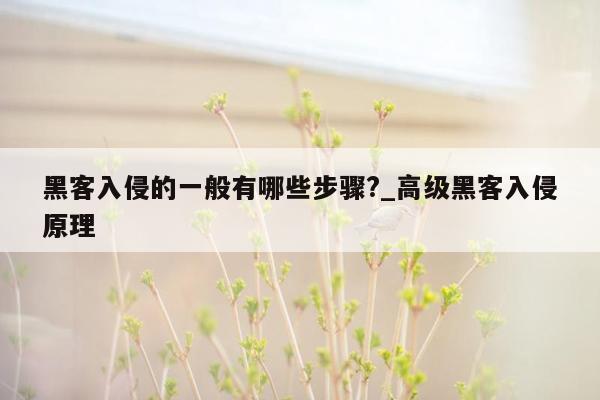 黑客入侵的一般有哪些步骤?_高级黑客入侵原理