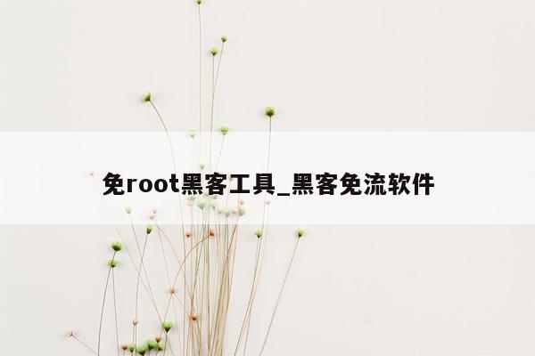 免root黑客工具_黑客免流软件