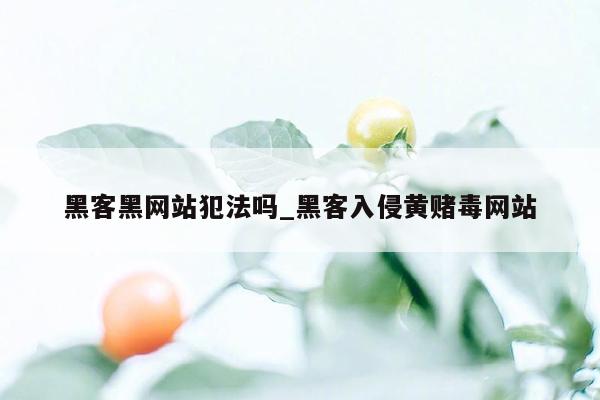 黑客黑网站犯法吗_黑客入侵黄赌毒网站