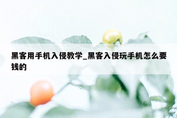 黑客用手机入侵教学_黑客入侵玩手机怎么要钱的