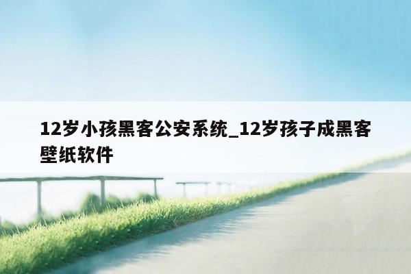 12岁小孩黑客公安系统_12岁孩子成黑客壁纸软件