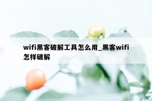 wifi黑客破解工具怎么用_黑客wifi怎样破解