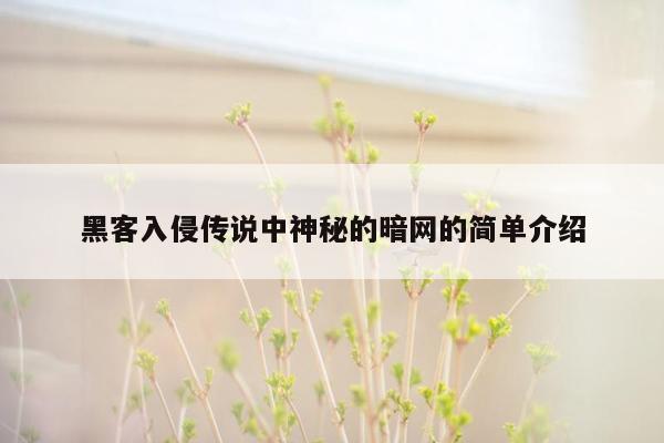 黑客入侵传说中神秘的暗网的简单介绍