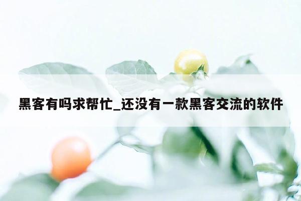 黑客有吗求帮忙_还没有一款黑客交流的软件