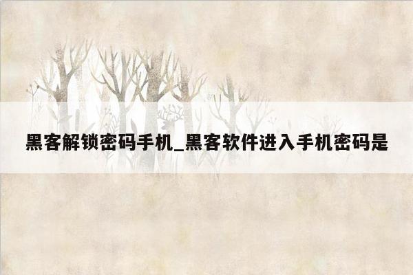 黑客解锁密码手机_黑客软件进入手机密码是