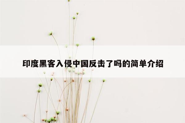 印度黑客入侵中国反击了吗的简单介绍