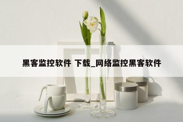 黑客监控软件 下载_网络监控黑客软件