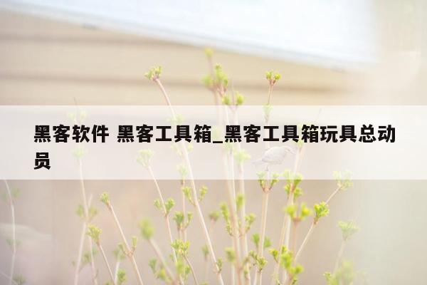 黑客软件 黑客工具箱_黑客工具箱玩具总动员