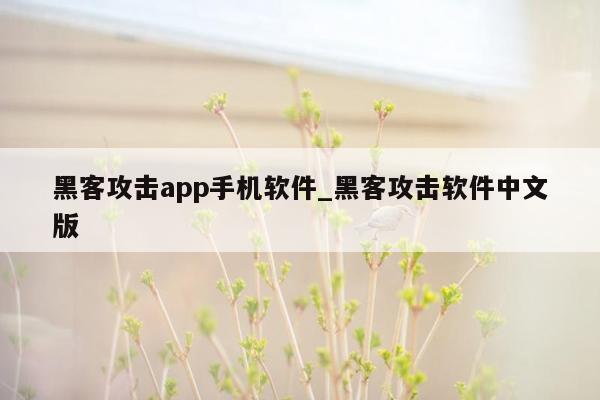 黑客攻击app手机软件_黑客攻击软件中文版