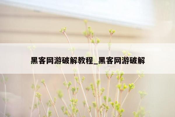 黑客网游破解教程_黑客网游破解