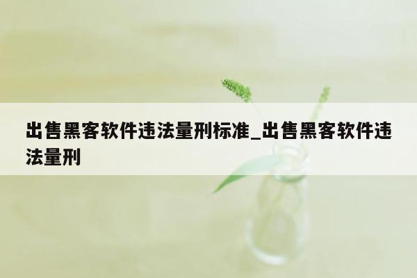 出售黑客软件违法量刑标准_出售黑客软件违法量刑