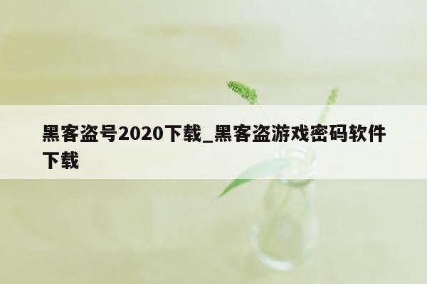 黑客盗号2020下载_黑客盗游戏密码软件下载