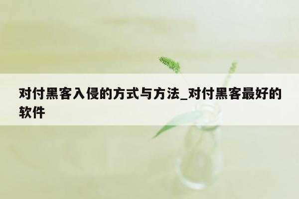 对付黑客入侵的方式与方法_对付黑客最好的软件