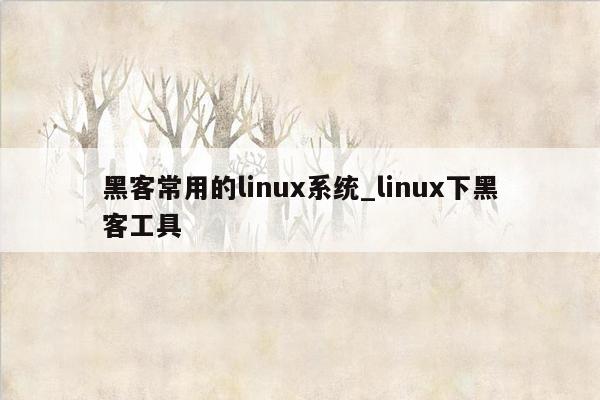 黑客常用的linux系统_linux下黑客工具