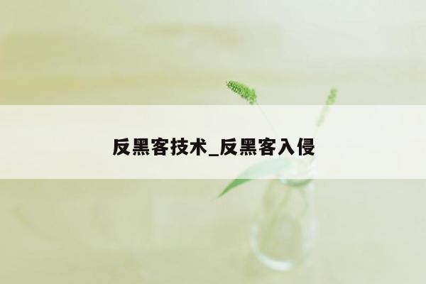 反黑客技术_反黑客入侵