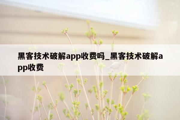 黑客技术破解app收费吗_黑客技术破解app收费