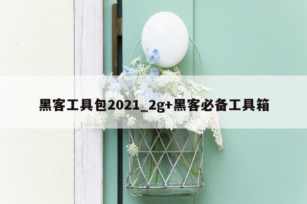 黑客工具包2021_2g+黑客必备工具箱