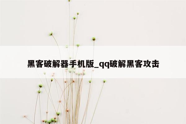 黑客破解器手机版_qq破解黑客攻击