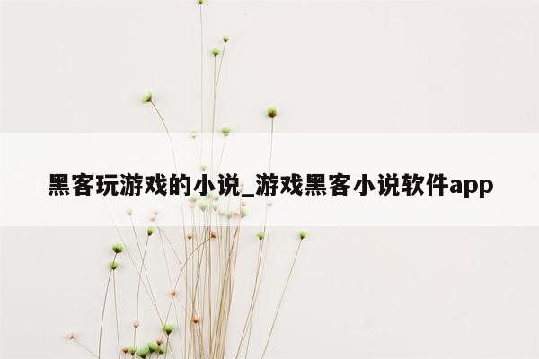 黑客玩游戏的小说_游戏黑客小说软件app