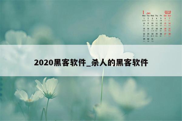 2020黑客软件_杀人的黑客软件