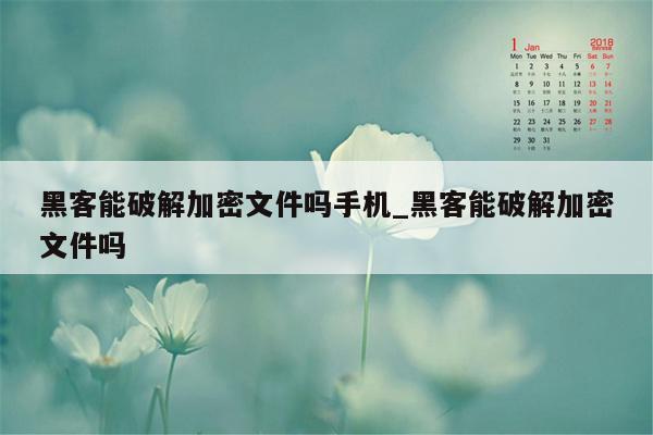 黑客能破解加密文件吗手机_黑客能破解加密文件吗