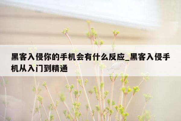 黑客入侵你的手机会有什么反应_黑客入侵手机从入门到精通