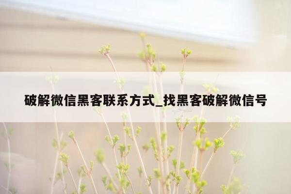 破解微信黑客联系方式_找黑客破解微信号