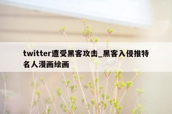 twitter遭受黑客攻击_黑客入侵推特名人漫画绘画