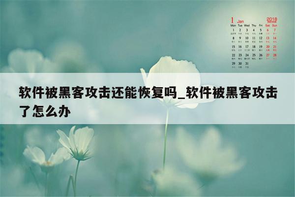 软件被黑客攻击还能恢复吗_软件被黑客攻击了怎么办