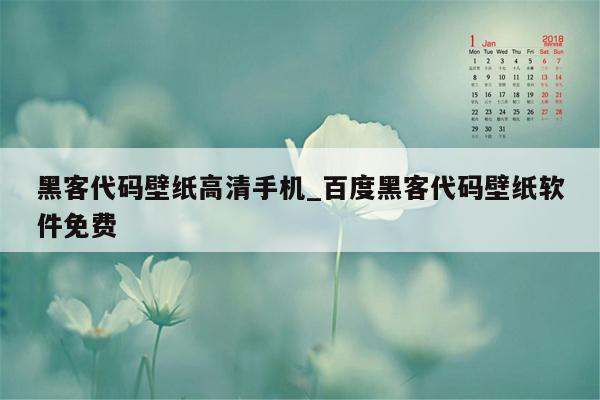 黑客代码壁纸高清手机_百度黑客代码壁纸软件免费