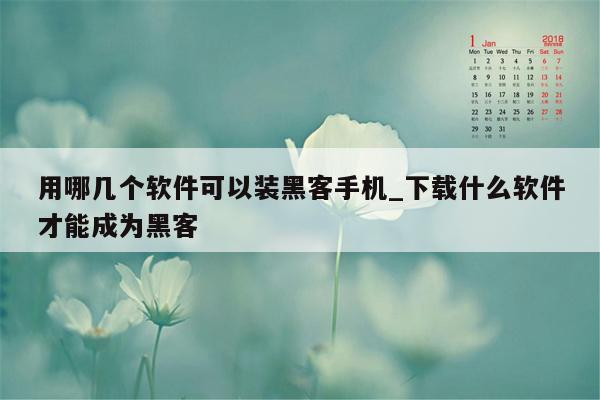 用哪几个软件可以装黑客手机_下载什么软件才能成为黑客