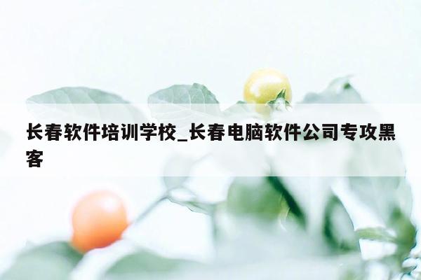 长春软件培训学校_长春电脑软件公司专攻黑客