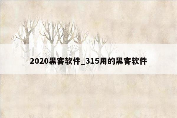 2020黑客软件_315用的黑客软件