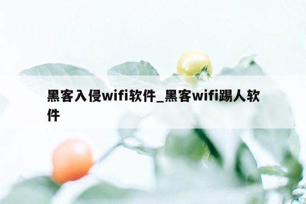 黑客入侵wifi软件_黑客wifi踢人软件