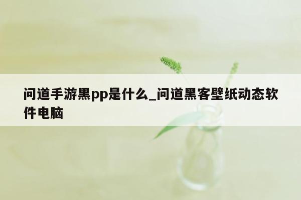 问道手游黑pp是什么_问道黑客壁纸动态软件电脑