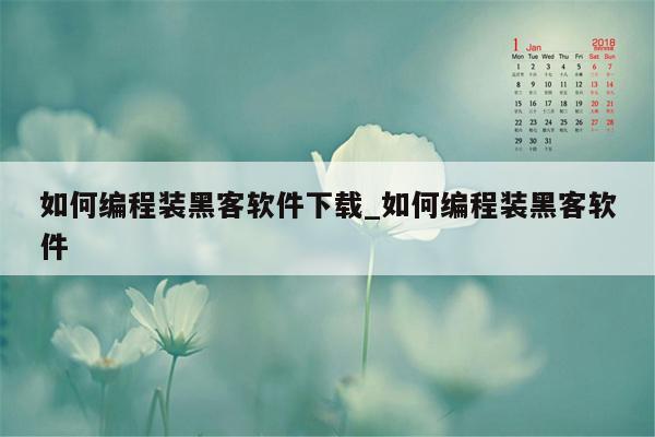 如何编程装黑客软件下载_如何编程装黑客软件