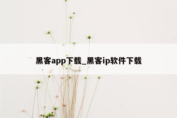 黑客app下载_黑客ip软件下载