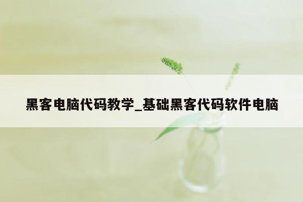 黑客电脑代码教学_基础黑客代码软件电脑