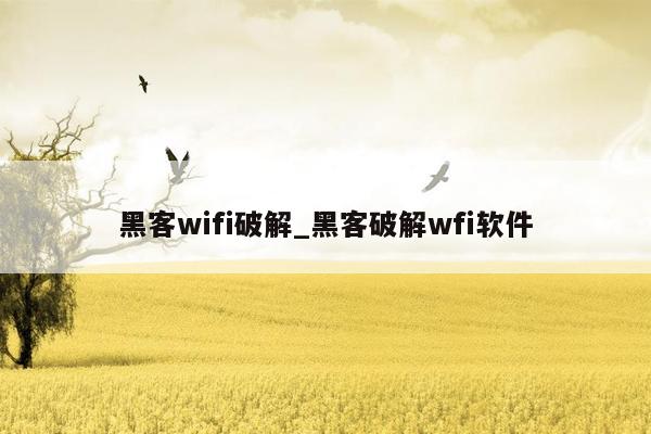 黑客wifi破解_黑客破解wfi软件