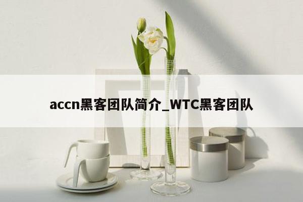 accn黑客团队简介_WTC黑客团队