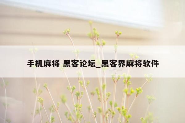 手机麻将 黑客论坛_黑客界麻将软件