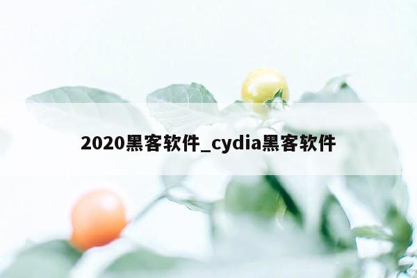 2020黑客软件_cydia黑客软件