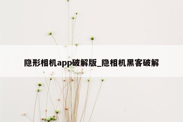 隐形相机app破解版_隐相机黑客破解