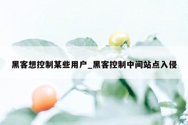 黑客想控制某些用户_黑客控制中间站点入侵