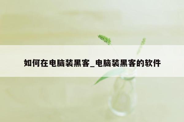 如何在电脑装黑客_电脑装黑客的软件