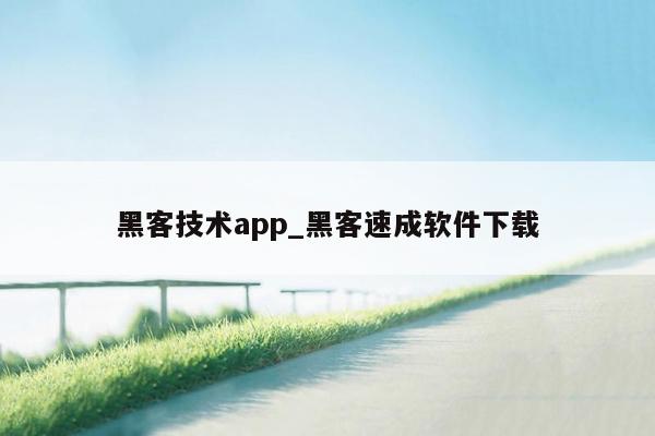 黑客技术app_黑客速成软件下载