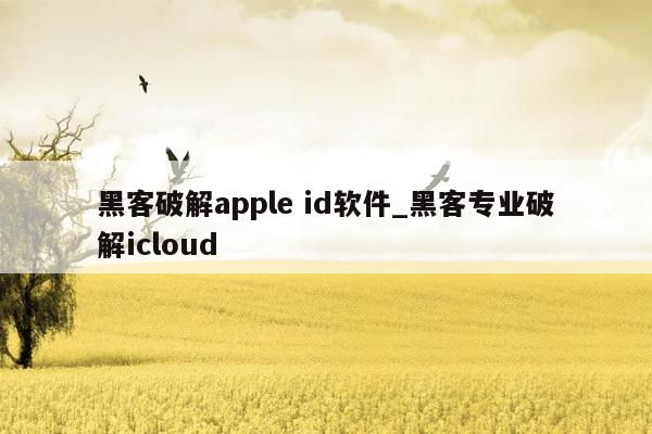 黑客破解apple id软件_黑客专业破解icloud