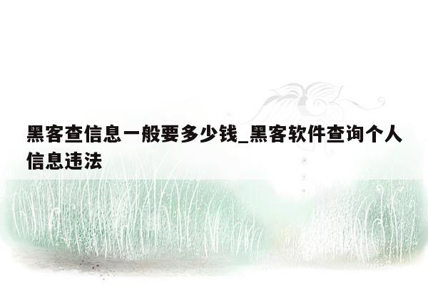 黑客查信息一般要多少钱_黑客软件查询个人信息违法