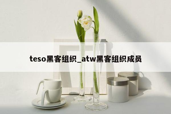 teso黑客组织_atw黑客组织成员